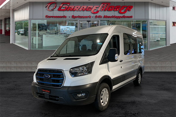 Waldspurger-Demohahrzeug-Kleinbus-Ford-Transit-Van-Moser